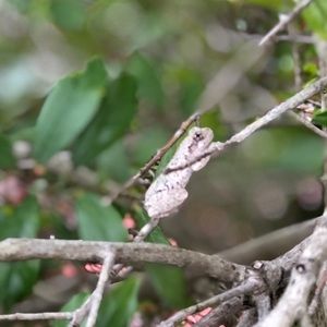 Meet your Posher, Dylan